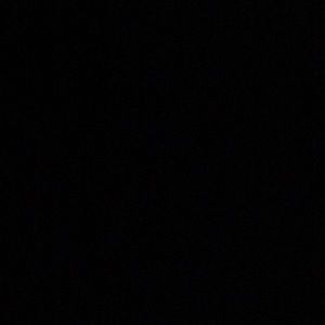 Meet your Posher, Lili